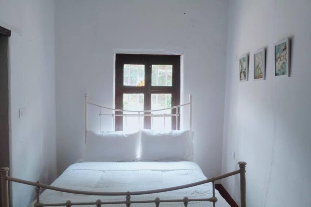 A Quaint Cottage With Rajah'S Seat View. Madikeri Esterno foto