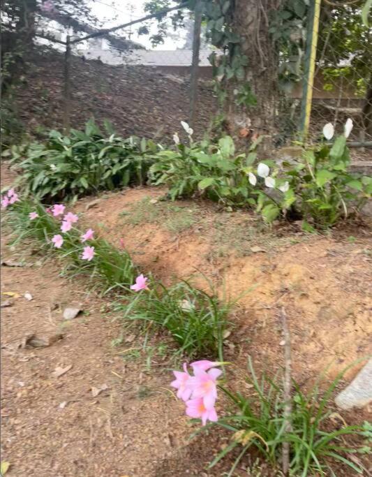 A Quaint Cottage With Rajah'S Seat View. Madikeri Esterno foto